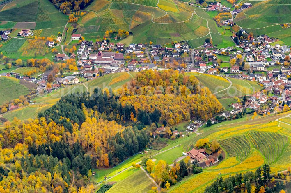 Durbach from the bird's eye view: Autumnal discolored vegetation view fields of wine cultivation landscape in Durbach in the state Baden-Wurttemberg, Germany