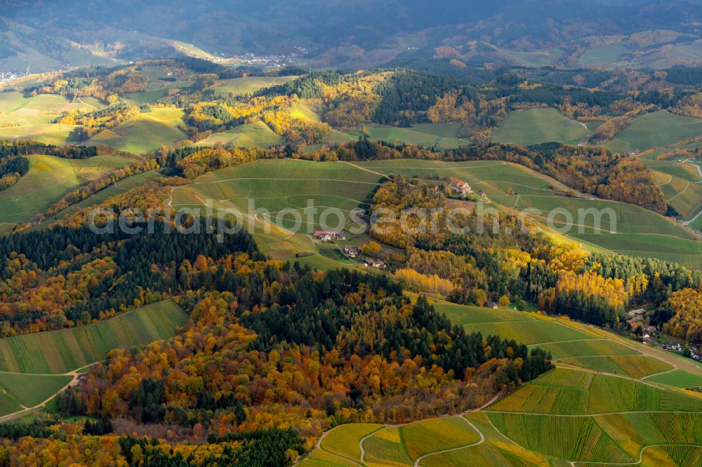 Aerial photograph Durbach - Autumnal discolored vegetation view fields of wine cultivation landscape in Durbach in the state Baden-Wurttemberg, Germany