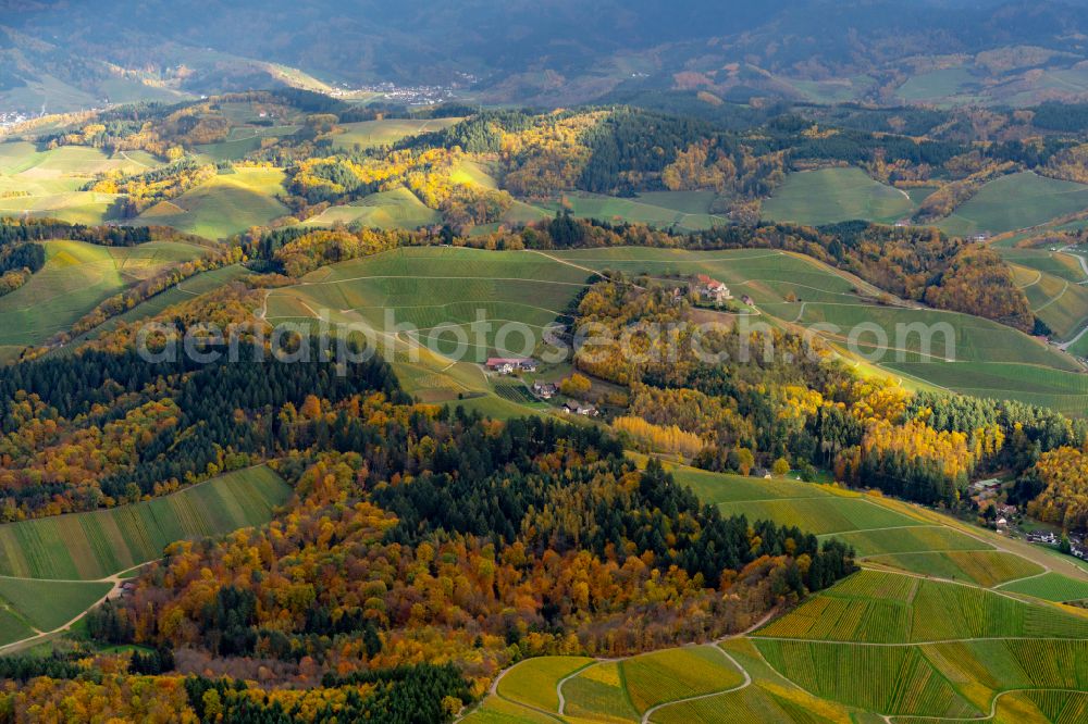 Aerial image Durbach - Autumnal discolored vegetation view fields of wine cultivation landscape in Durbach in the state Baden-Wuerttemberg, Germany
