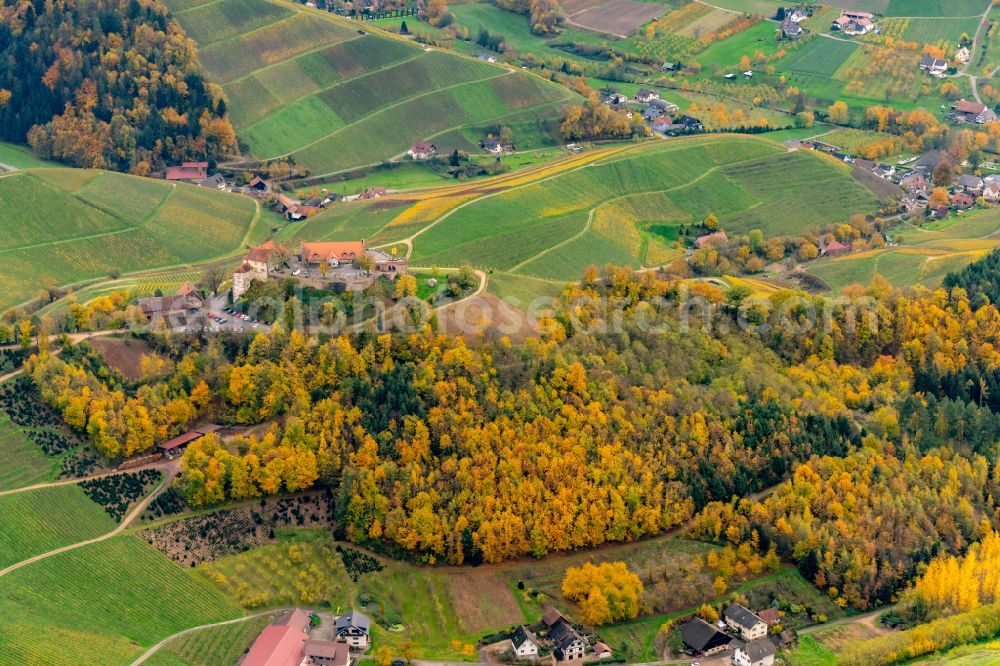 Aerial image Durbach - Autumnal discolored vegetation view fields of wine cultivation landscape in Durbach in the Ortenau in Durbach in the state Baden-Wuerttemberg, Germany