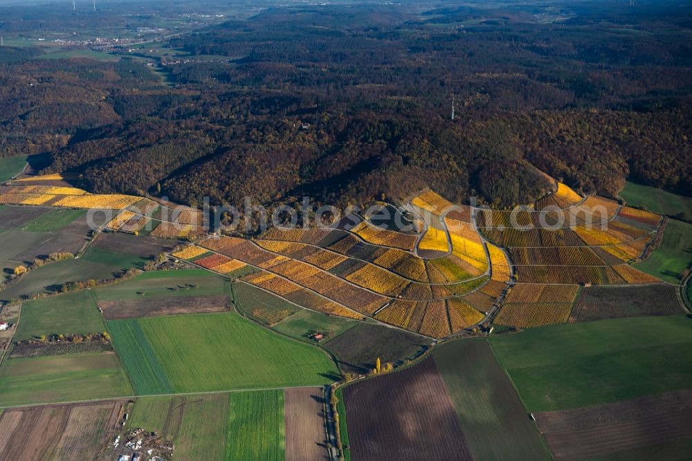 Aerial photograph Greuth - Autumnal discolored vegetation view fields of wine cultivation landscape in Greuth in the state Bavaria, Germany