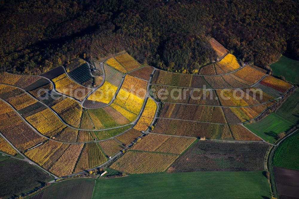 Greuth from above - Autumnal discolored vegetation view fields of wine cultivation landscape in Greuth in the state Bavaria, Germany