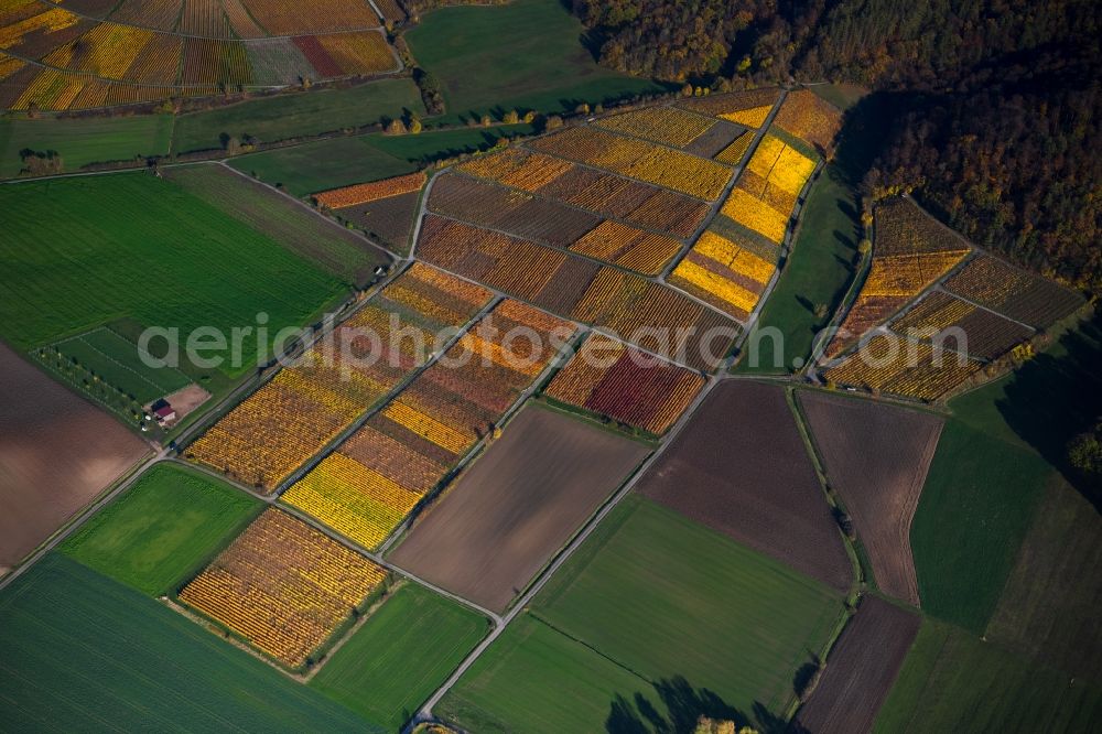 Greuth from the bird's eye view: Autumnal discolored vegetation view fields of wine cultivation landscape in Greuth in the state Bavaria, Germany