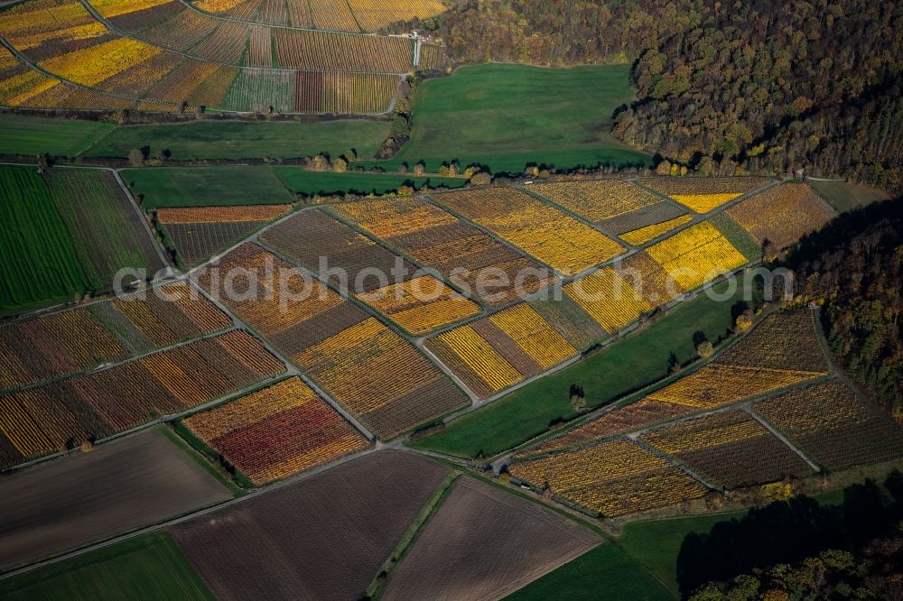 Aerial image Greuth - Autumnal discolored vegetation view fields of wine cultivation landscape in Greuth in the state Bavaria, Germany