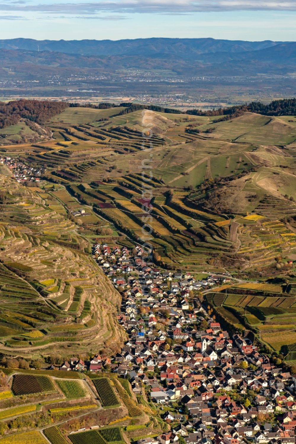 Aerial photograph Vogtsburg im Kaiserstuhl - Autumnal discolored vegetation view fields of wine cultivation landscape in Vogtsburg im Kaiserstuhl in the state Baden-Wuerttemberg, Germany