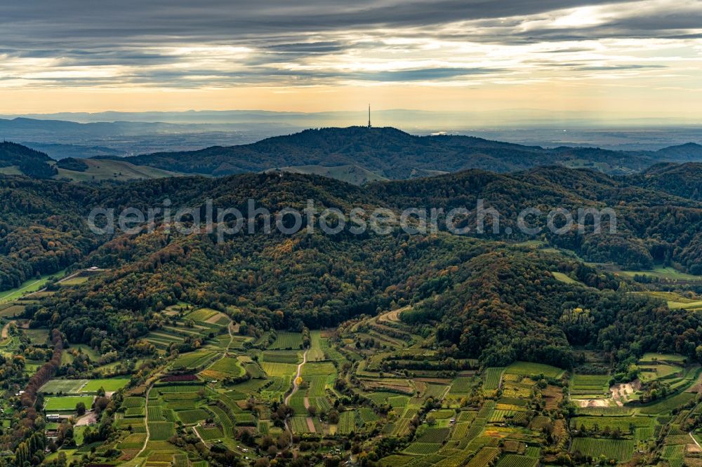Vogtsburg im Kaiserstuhl from the bird's eye view: Autumnal discolored vegetation view fields of wine cultivation landscape in Bahlingen am Kaiserstuhl in the state Baden-Wuerttemberg, Germany