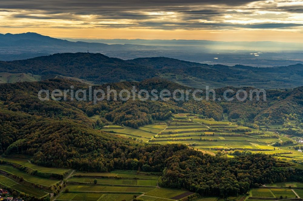 Aerial photograph Vogtsburg im Kaiserstuhl - Autumnal discolored vegetation view fields of wine cultivation landscape in Bahlingen am Kaiserstuhl in the state Baden-Wuerttemberg, Germany