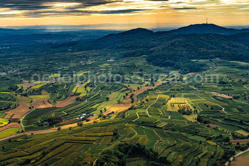 Vogtsburg im Kaiserstuhl from above - Autumnal discolored vegetation view fields of wine cultivation landscape in Bahlingen am Kaiserstuhl in the state Baden-Wuerttemberg, Germany