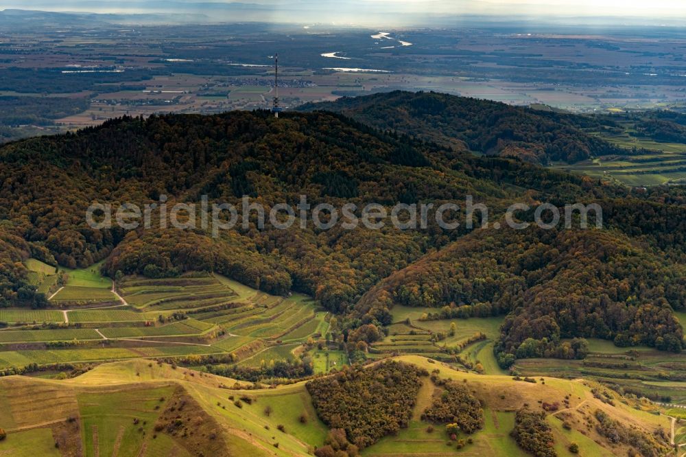 Vogtsburg im Kaiserstuhl from the bird's eye view: Autumnal discolored vegetation view fields of wine cultivation landscape in Bahlingen am Kaiserstuhl in the state Baden-Wuerttemberg, Germany