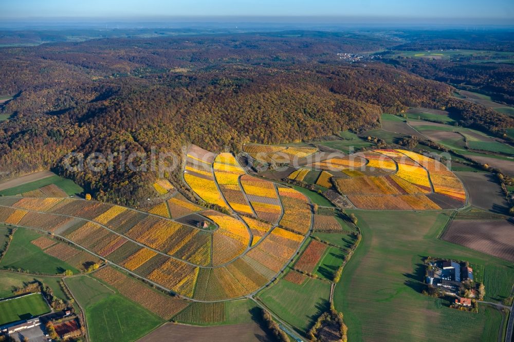 Oberschwarzach from the bird's eye view: Autumnal discolored vegetation view fields of wine cultivation landscape in Oberschwarzach in the state Bavaria, Germany