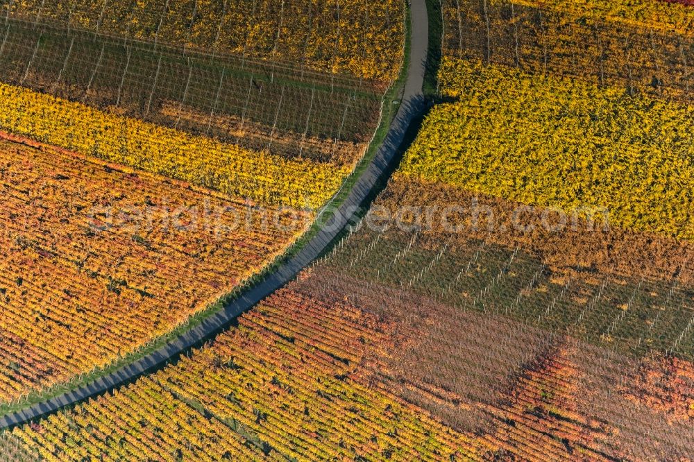 Aerial photograph Oberschwarzach - Autumnal discolored vegetation view fields of wine cultivation landscape in Oberschwarzach in the state Bavaria, Germany