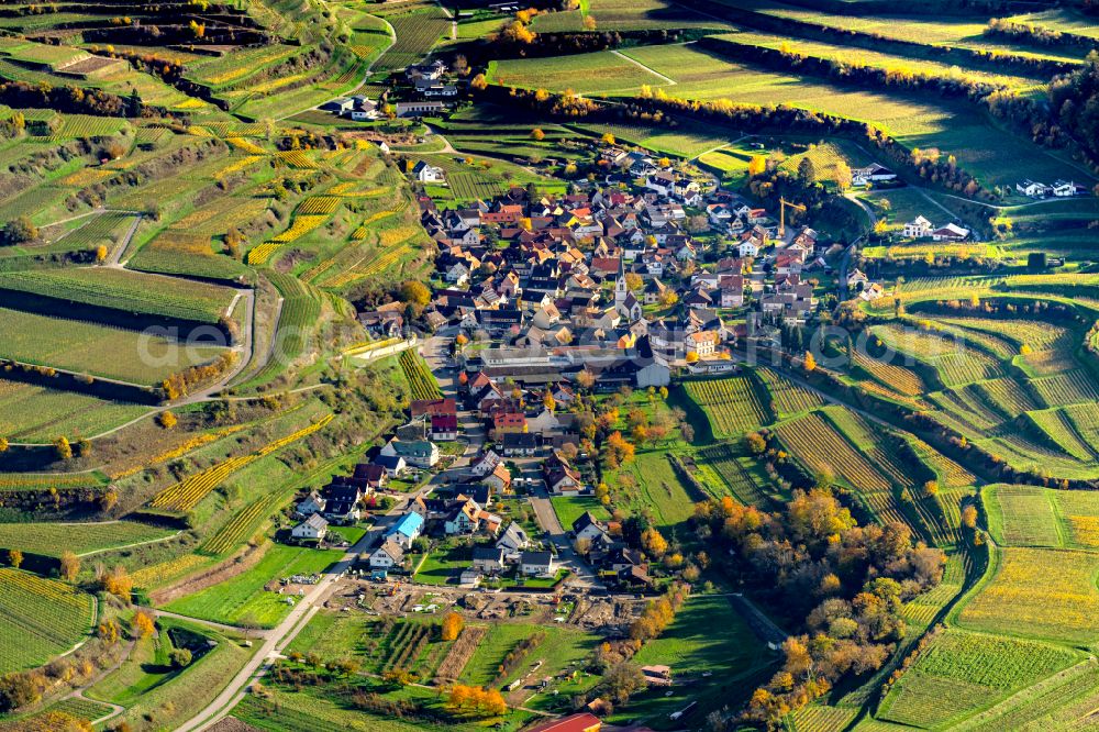 Aerial image Bickensohl - Autumnal discolored vegetation view fields of wine cultivation landscape in Bickensohl in the state Baden-Wuerttemberg, Germany