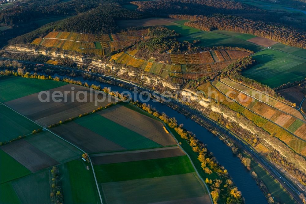Aerial image Thüngersheim - Autumnal discolored vegetation view fields of wine cultivation landscape on the banks of the Main river in Thuengersheim in the state Bavaria, Germany