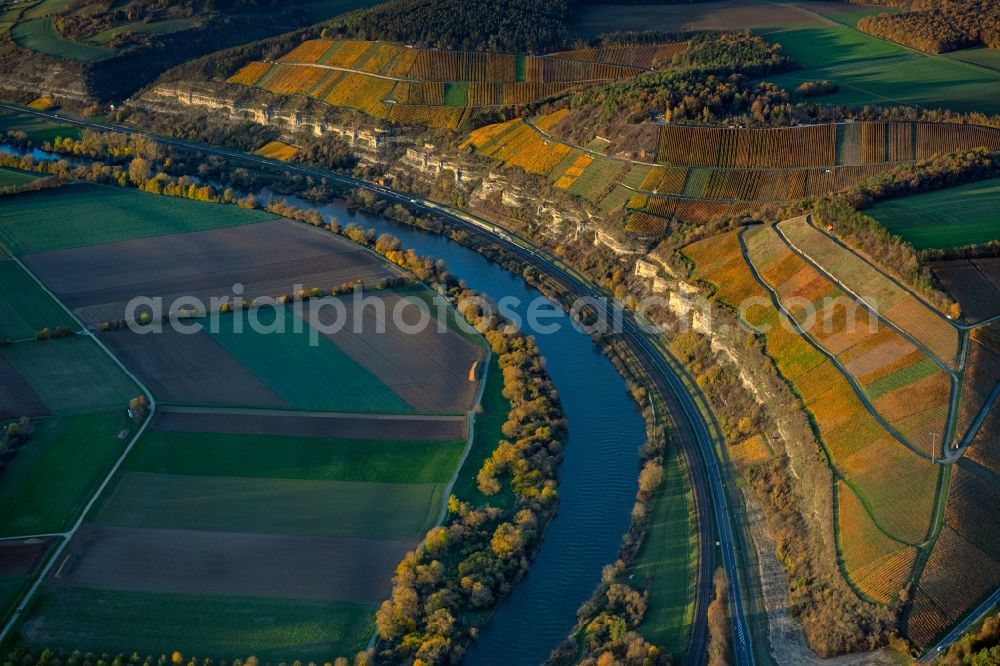Aerial photograph Thüngersheim - Autumnal discolored vegetation view fields of wine cultivation landscape on the banks of the Main river in Thuengersheim in the state Bavaria, Germany