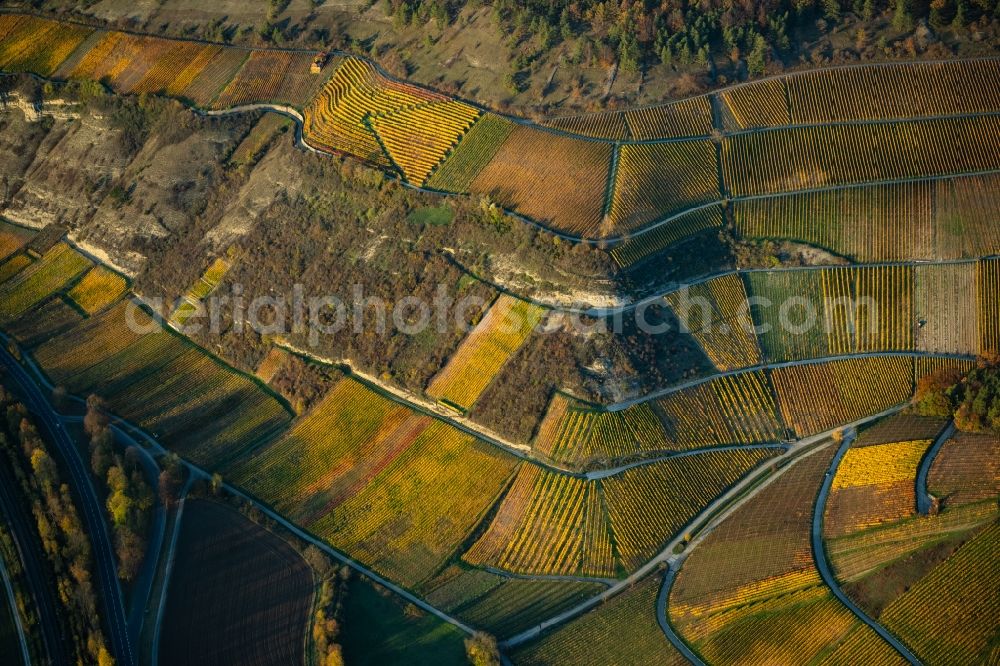 Thüngersheim from the bird's eye view: Autumnal discolored vegetation view fields of wine cultivation landscape on the banks of the Main river in Thuengersheim in the state Bavaria, Germany