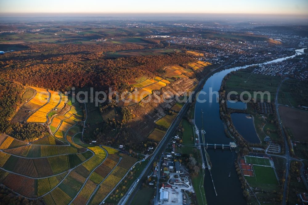 Aerial photograph Thüngersheim - Autumnal discolored vegetation view fields of wine cultivation landscape on the banks of the Main river in Thuengersheim in the state Bavaria, Germany
