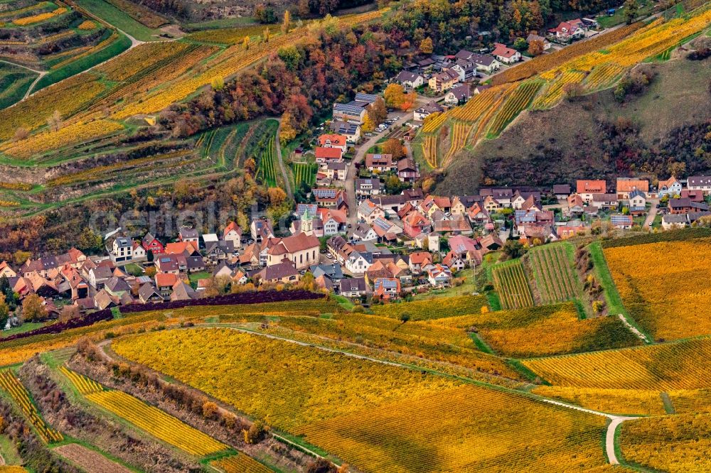 Vogtsburg im Kaiserstuhl from above - Autumnal discolored vegetation view fields of wine cultivation landscape in Vogtsburg im Kaiserstuhl in the state Baden-Wurttemberg, Germany