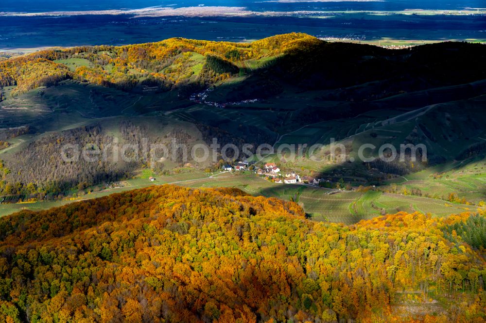 Aerial photograph Vogtsburg im Kaiserstuhl - Autumnal discolored vegetation view fields of wine cultivation landscape in Vogtsburg im Kaiserstuhl in the state Baden-Wurttemberg, Germany