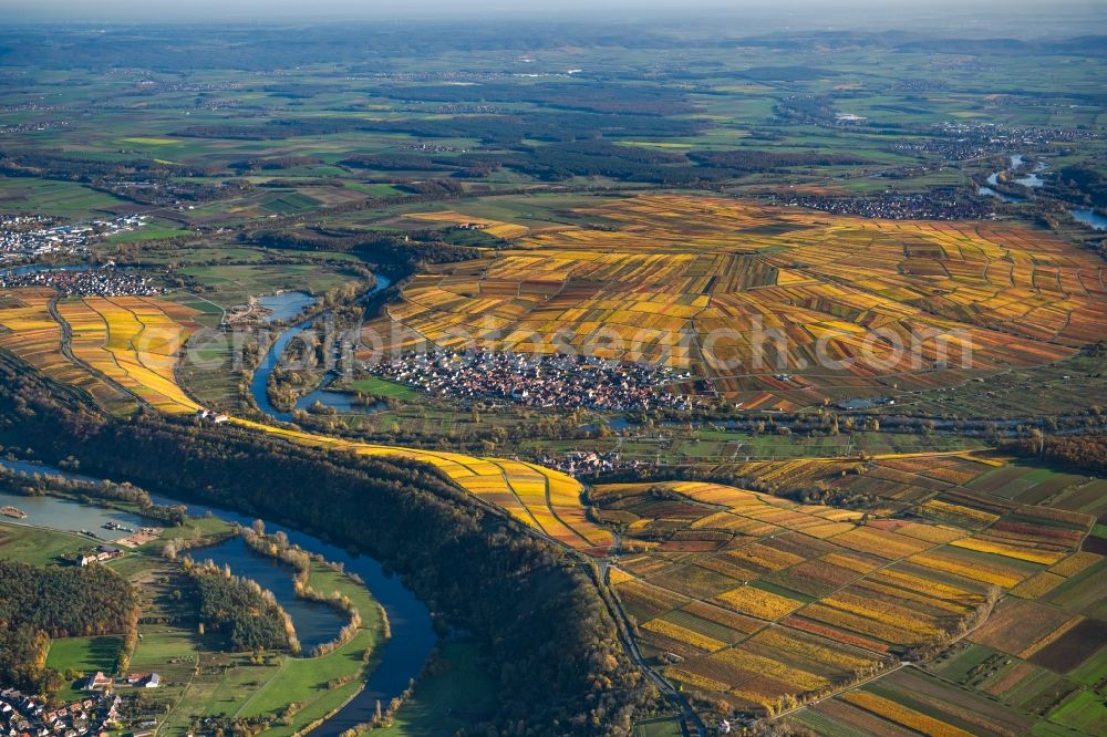 Aerial photograph Volkach - Autumnal discolored vegetation view fields of wine cultivation landscape on river course of main in Volkach in the state Bavaria, Germany