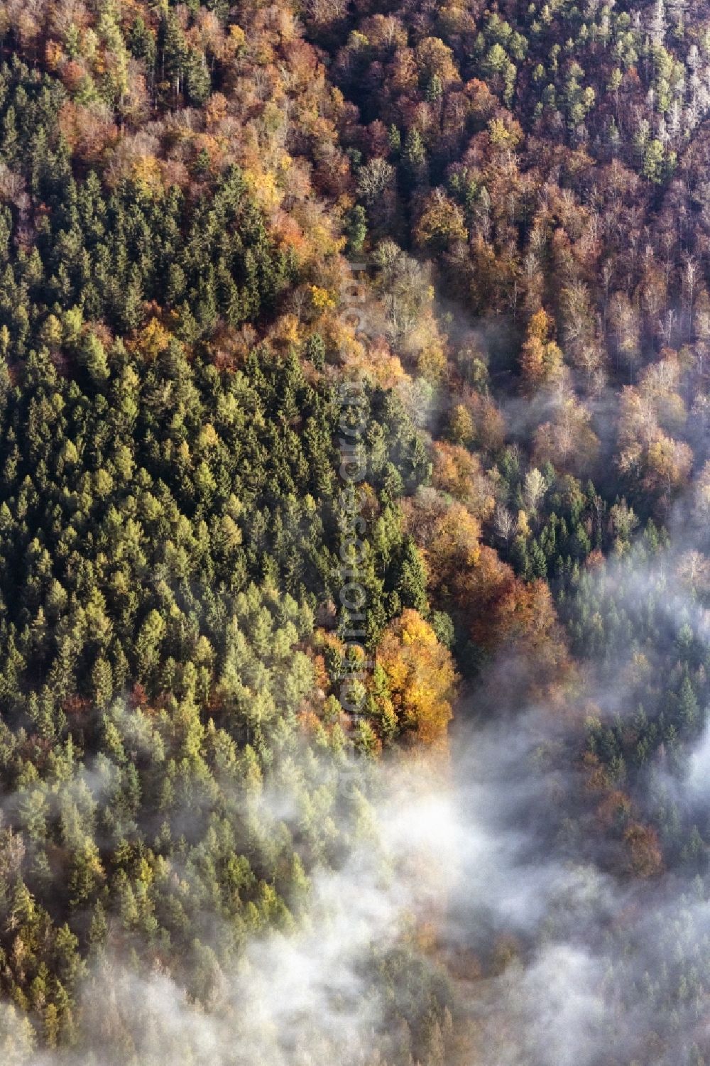 Haina (Kloster) from the bird's eye view: Autumnal discolored vegetation view weather conditions with cloud formation ueber einem Wald in Bad Wildungen in the state Hesse, Germany