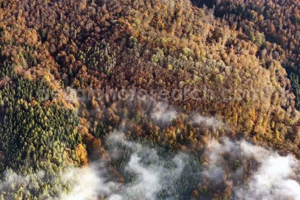Aerial image Haina (Kloster) - Autumnal discolored vegetation view weather conditions with cloud formation ueber einem Wald in Bad Wildungen in the state Hesse, Germany