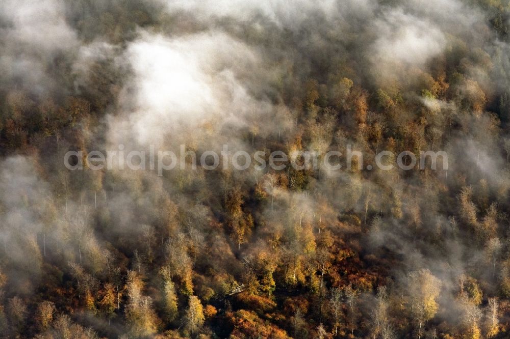 Aerial photograph Haina (Kloster) - Autumnal discolored vegetation view weather conditions with cloud formation ueber einem Wald in Bad Wildungen in the state Hesse, Germany