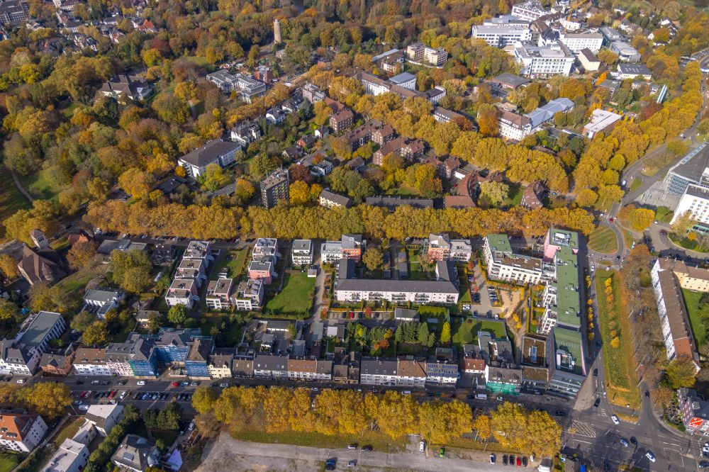 Bochum from the bird's eye view: Autumnal discolored vegetation view residential area of the multi-family house settlement on street Kueppersstrasse in the district Innenstadt in Bochum at Ruhrgebiet in the state North Rhine-Westphalia, Germany
