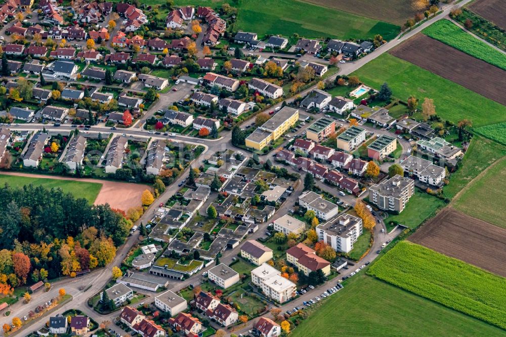 Stegen from above - Autumnal discolored vegetation view residential area of the multi-family house settlement in Stegen in the state Baden-Wuerttemberg, Germany