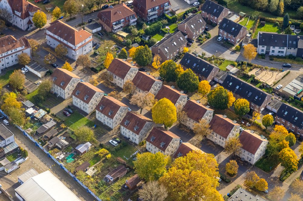 Gladbeck from the bird's eye view: Autumnal discolored vegetation view residential area a row house settlement on street Uhlandstrasse in Gladbeck at Ruhrgebiet in the state North Rhine-Westphalia, Germany