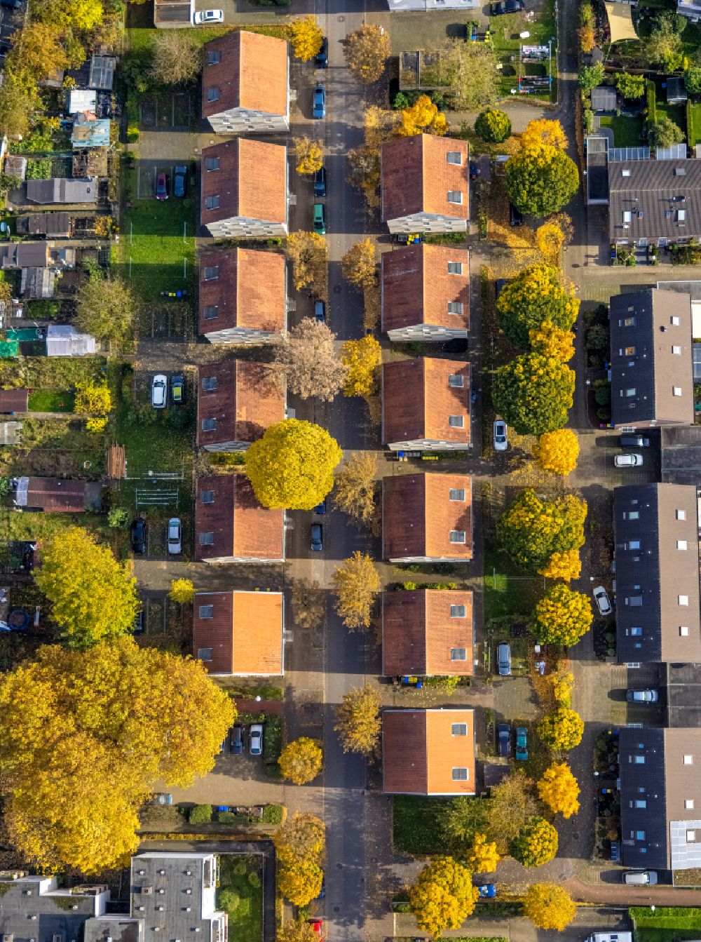 Aerial photograph Gladbeck - Autumnal discolored vegetation view residential area a row house settlement on street Uhlandstrasse in Gladbeck at Ruhrgebiet in the state North Rhine-Westphalia, Germany