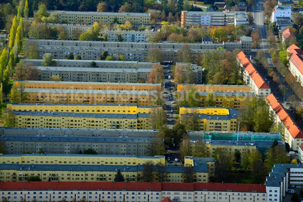 Magdeburg from the bird's eye view: Autumnal discolored vegetation view residential area a row house settlement Walbecker Strasse - Hohendodeleber Strasse in the district Stadtfeld West in Magdeburg in the state Saxony-Anhalt