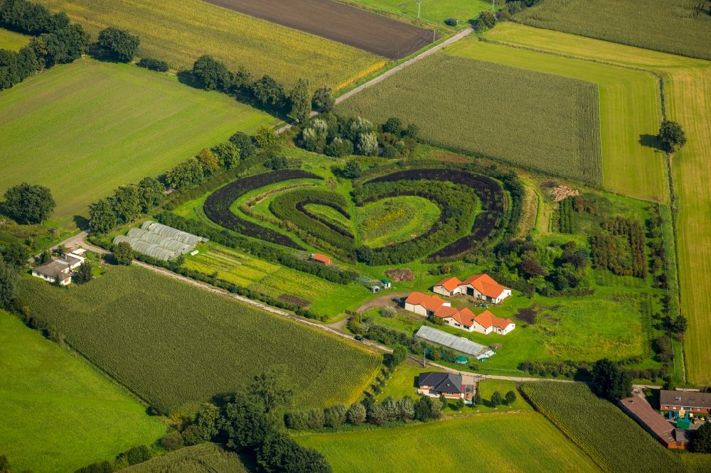 Aerial photograph Waltrop - Heart-shaped planting in Markfelder Weg in Waltrop
