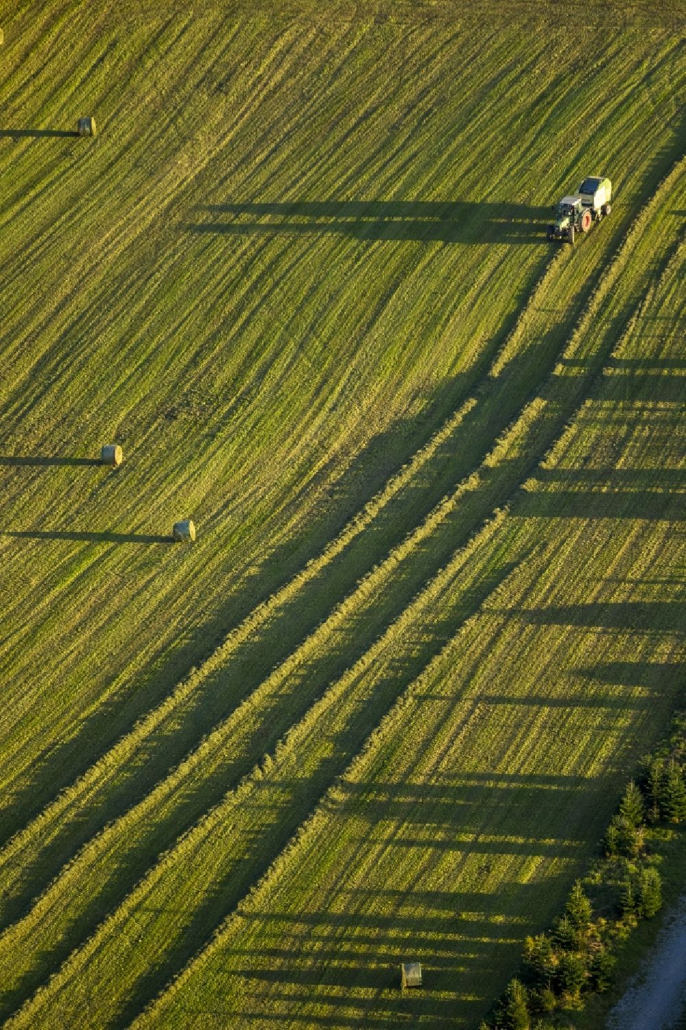 Brilon from the bird's eye view: View of a hay harvest in Brilon in the state North Rhine-Westphalia