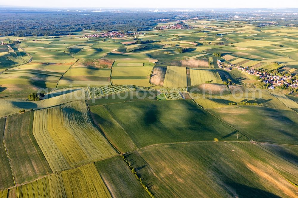 Aerial image Siegen - Structures of a field landscape of Alsace south of the Bienwald in Siegen in Grand Est, France
