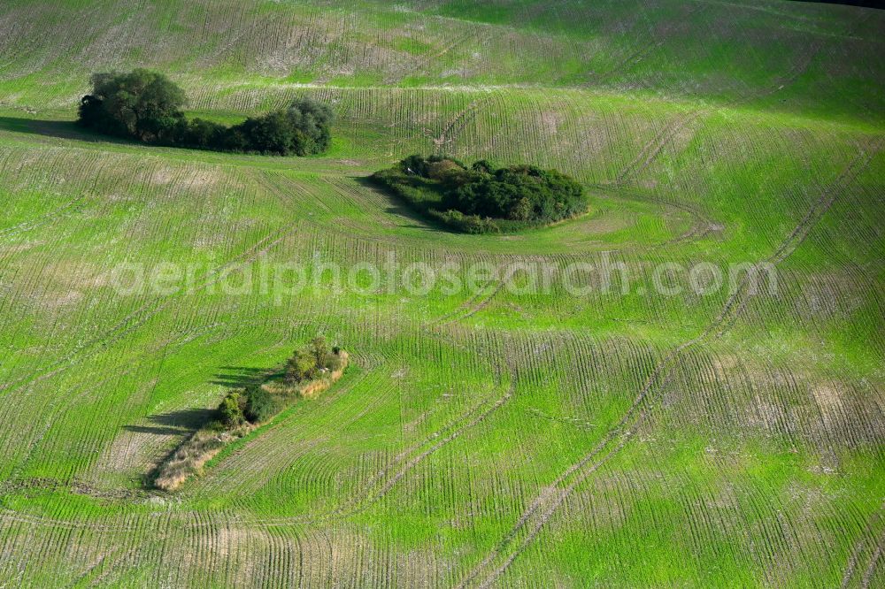 Gerswalde from the bird's eye view: Wavy grass surface structures of a hilly landscape in Gerswalde in the state Brandenburg, Germany