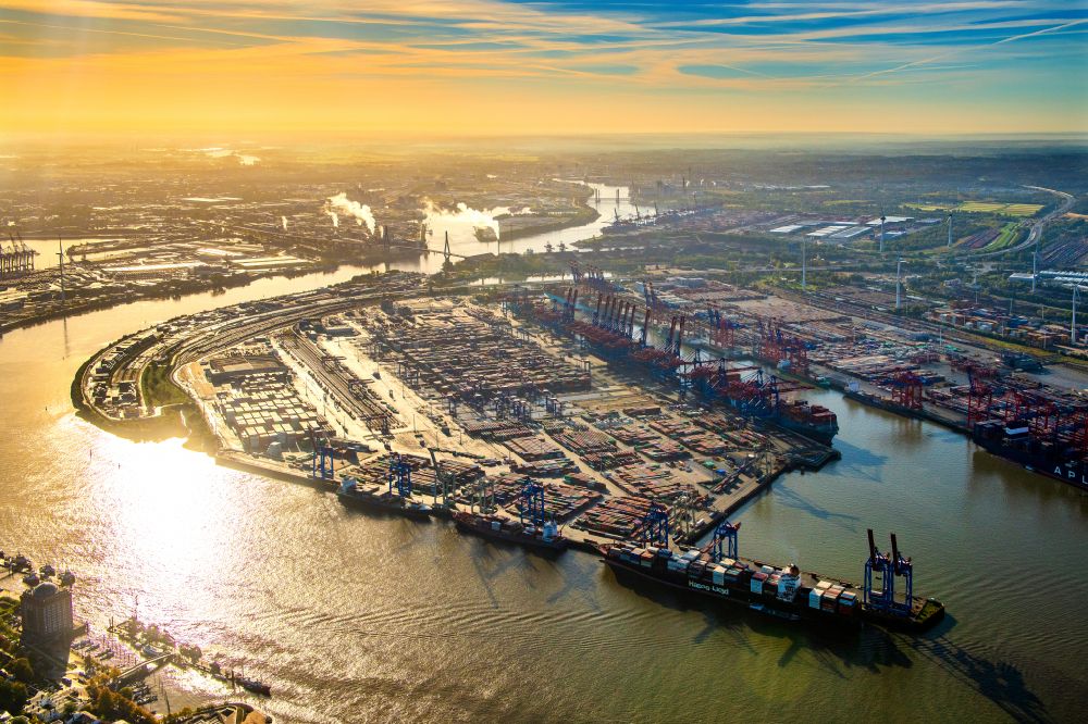 Aerial image Hamburg - HHLA Logistics Container Terminal Burchardkaiim sunrise at the Port of Hamburg in Hamburg