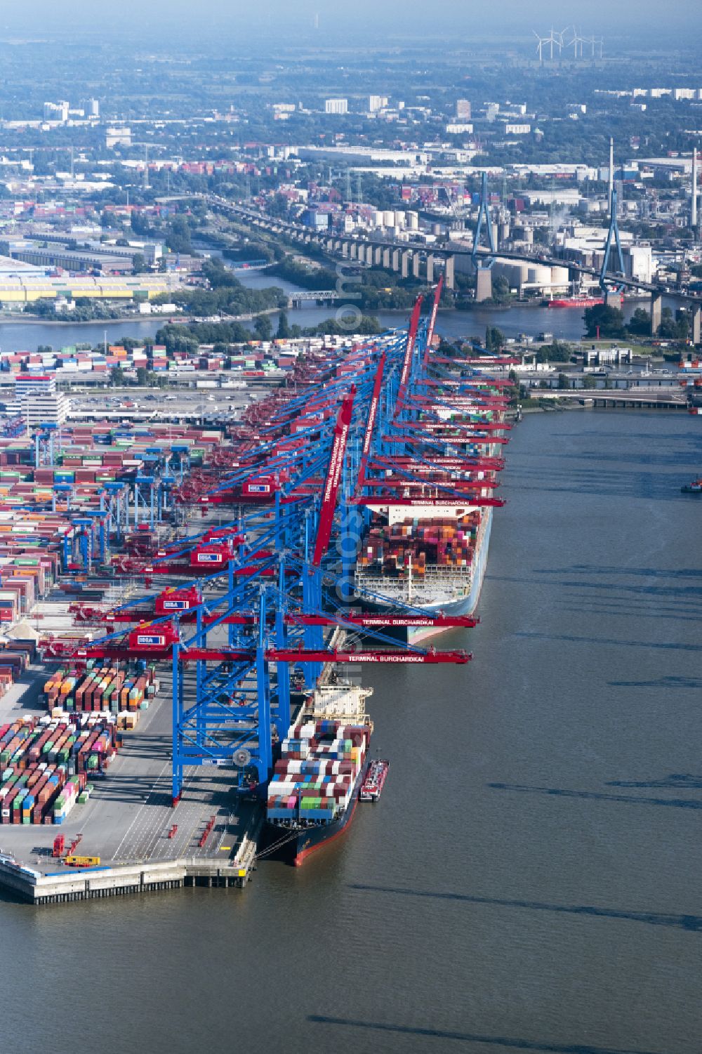 Aerial image Hamburg - View on container and container ships at berth HHLA Logistics Container Terminal Burchhardkai and Walter Hofer Euro Gate Container Terminal in the Port of Hamburg harbor in Hamburg