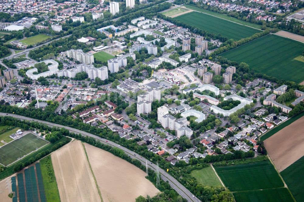 Aerial image Ludwigshafen am Rhein - High-rise ensemble of Londoner Ring in the district Pfingtsweide in Ludwigshafen am Rhein in the state Rhineland-Palatinate