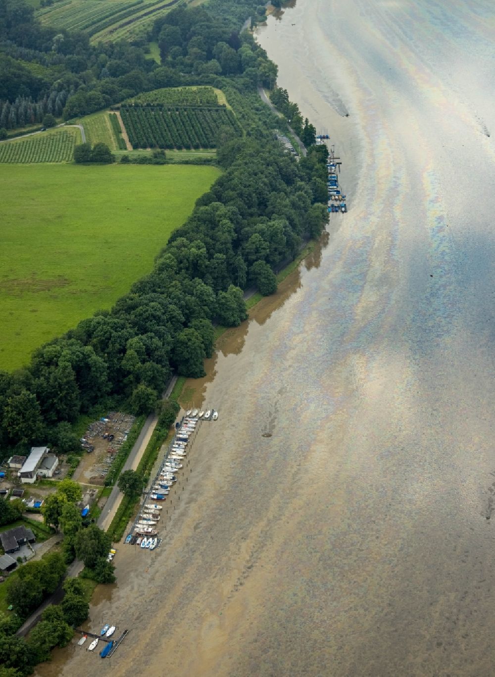 Aerial photograph Essen - Flood situation of the inundating, all-moving and infrastructure-destroying brown water masses with extensive oil spill on the water surface of the Baldeneysee in the district Bredeney in Essen in the Ruhr area in the state North Rhine-Westphalia, Germany