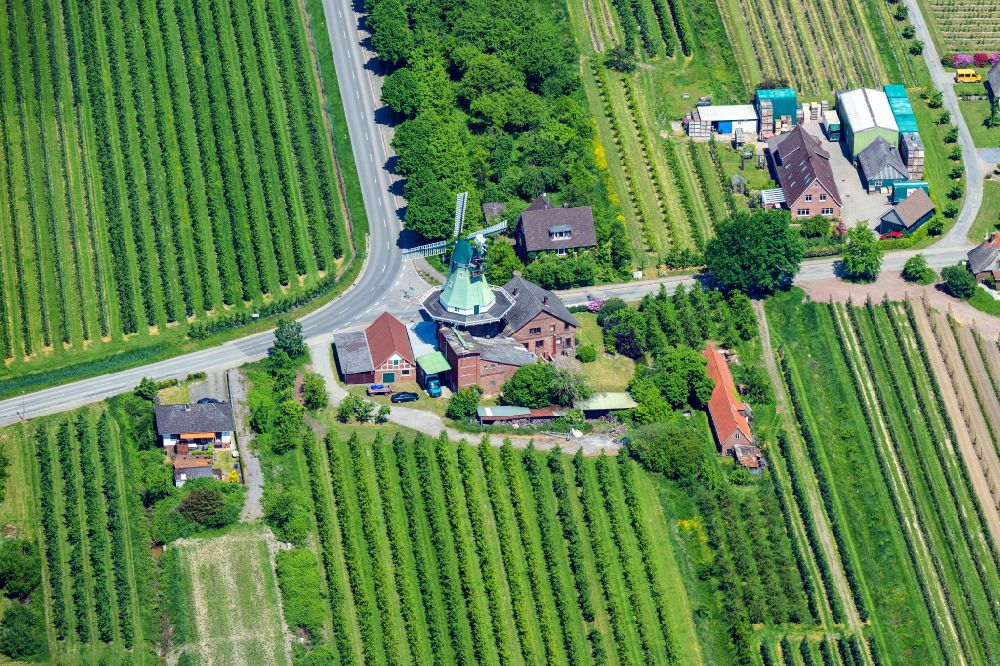 Hollern-Twielenfleth from the bird's eye view: Village view in the fruit growing area Altes Land Hollern Twielenfleth mill in the state of Lower Saxony, Germany