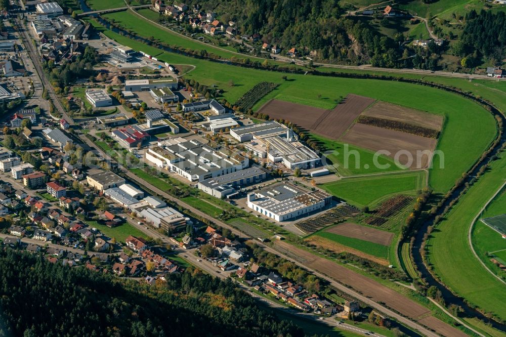 Haslach im Kinzigtal from the bird's eye view: Industrial and commercial area in Haslach im Kinzigtal in the state Baden-Wurttemberg, Germany