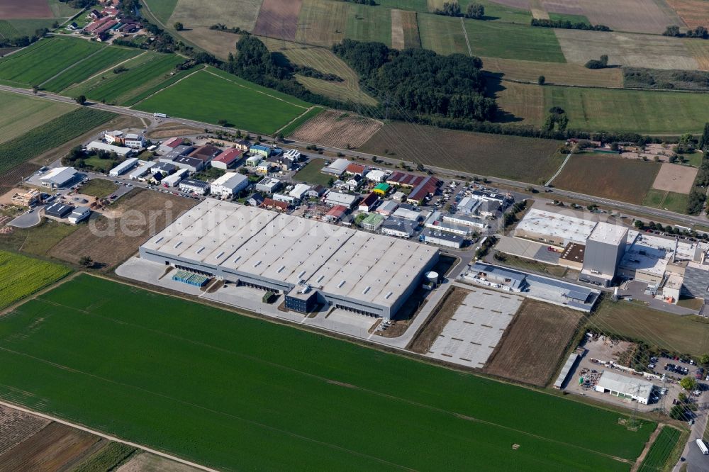 Ketsch from above - Industrial and commercial area Sachsenstrasse with WalzWerk Motorcycles, Musch M. Motorcycles und dog-pension Happy Animal Center in Ketsch in the state Baden-Wuerttemberg, Germany