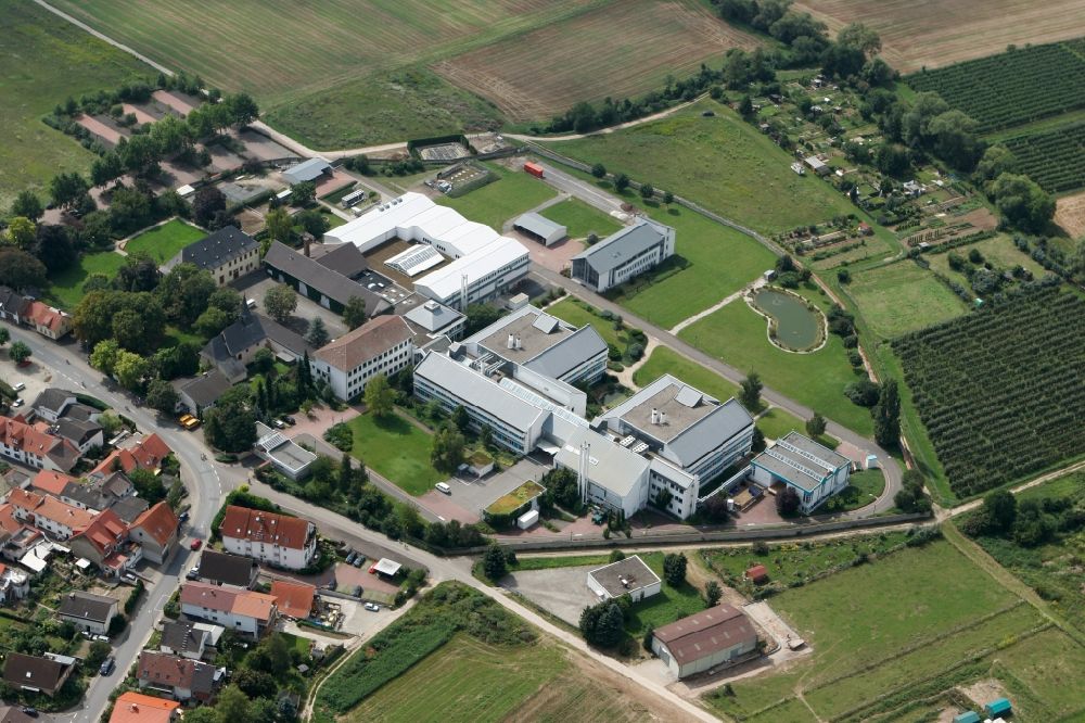 Aerial photograph Schwabenheim an der Selz - Industrial and commercial area in Swabia an der Selz in Rhineland-Palatinate. On an old monastery grounds, the Intervet Innovation GmbH has settled. The Intervet where it operates a global research and development center for veterinary medicinal products with a focus on anti-infectives and parasiticides