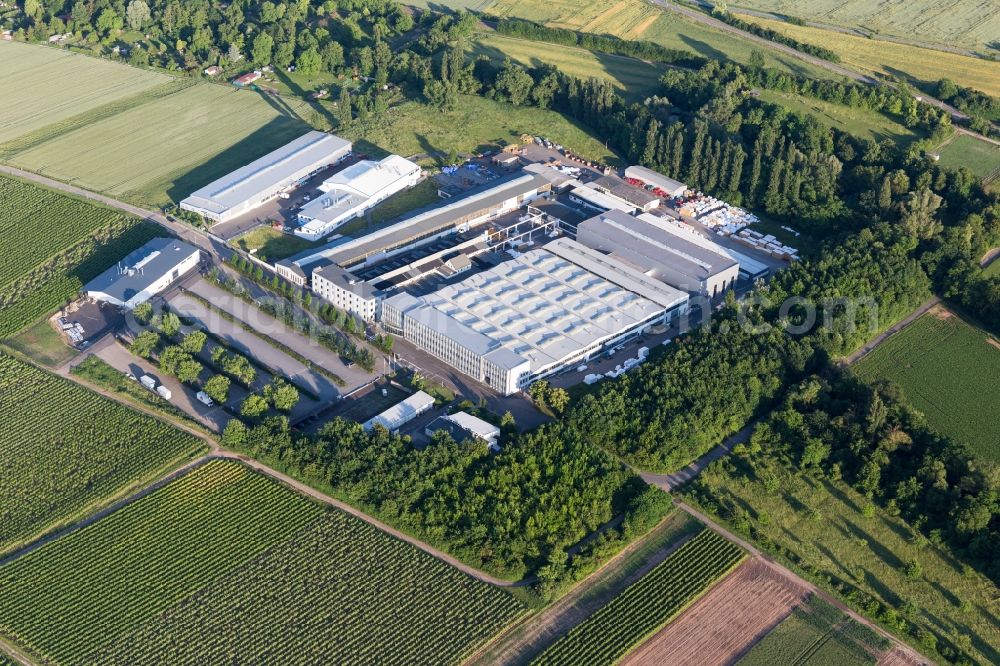 Worms from the bird's eye view: Industrial and commercial area Enzinger Strasse in Worms in the state Rhineland-Palatinate, Germany