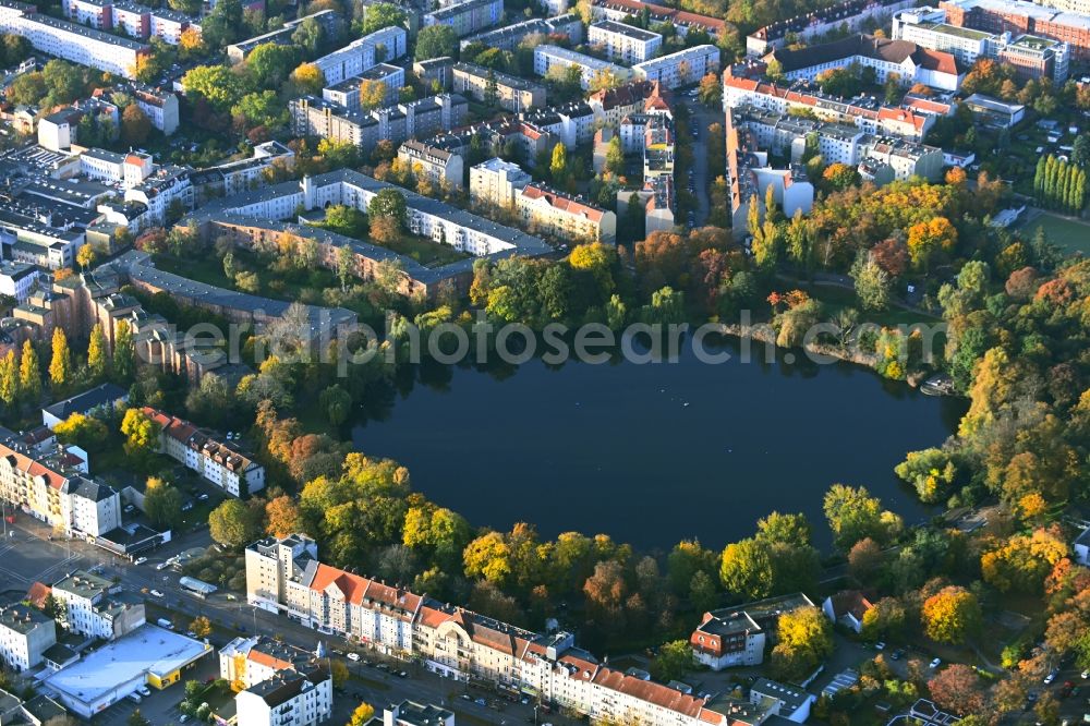 Berlin from above - City view of the downtown area on the shore areas Schaefersee in the district Reinickendorf in Berlin, Germany