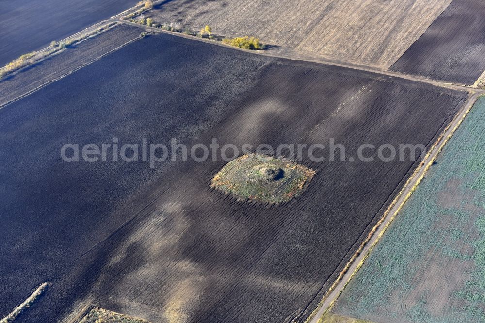 Aerial image Fegyvernek - Island in a field in Fegyvernek in Jasz-Nagykun-Szolnok, Hungary