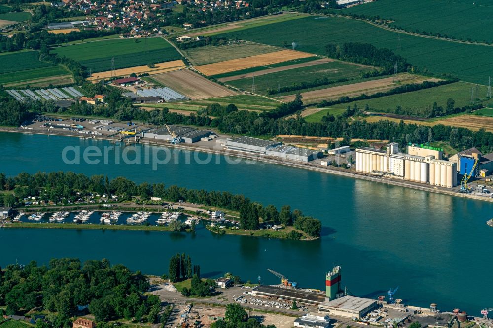Biesheim from the bird's eye view: Island on the banks of the river course on Rhein in Biesheim in Grand Est, France