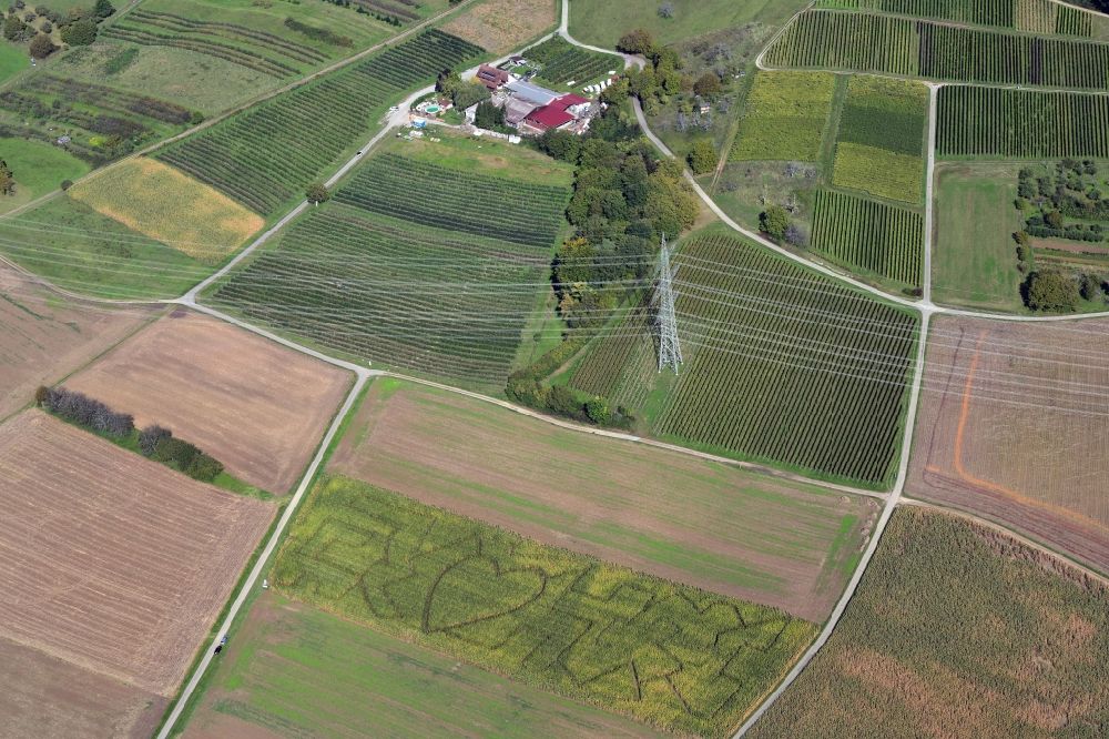 Aerial photograph Kandern - Maze - Labyrinth with the outline of a heart in a field next to the farm Ruettehof in the district Wollbach in Kandern in the state Baden-Wurttemberg, Germany