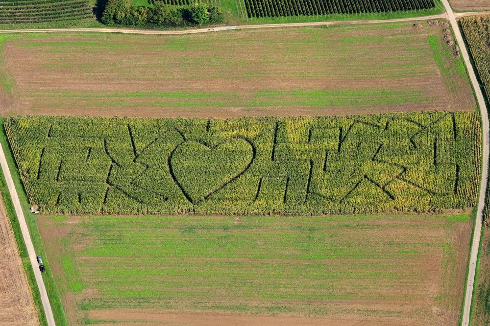 Aerial image Kandern - Maze - Labyrinth with the outline of a heart in a field in the district Wollbach in Kandern in the state Baden-Wurttemberg, Germany