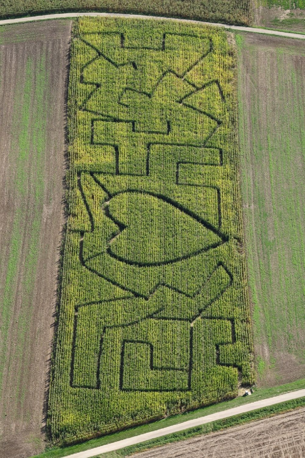 Aerial photograph Kandern - Maze - Labyrinth with the outline of a heart in a field in the district Wollbach in Kandern in the state Baden-Wurttemberg, Germany